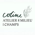 Atelier au milieu des champs