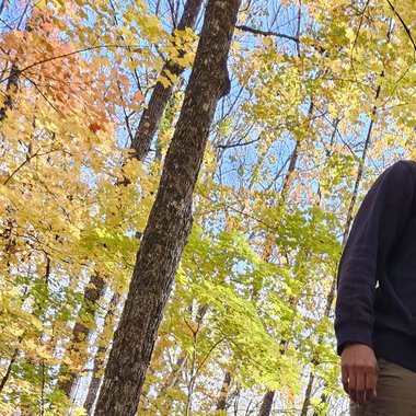 Prasad D. - Freelance Illustrator