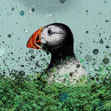 Lee T. - Freelance Illustrator