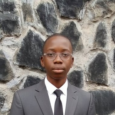 Temiloluwa O. - Freelance Logo Designer