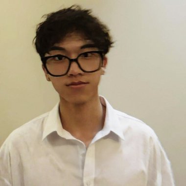 Leon W. - Freelance Developer