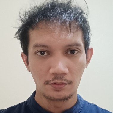 Laskar S. - Freelance Developer