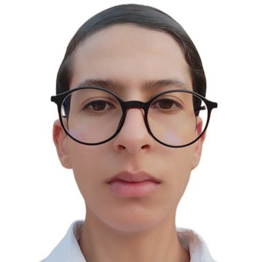 Mohamed A. - Freelance Data Annotator