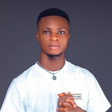 Oluwatobiloba I. - Freelance Infographic Designer