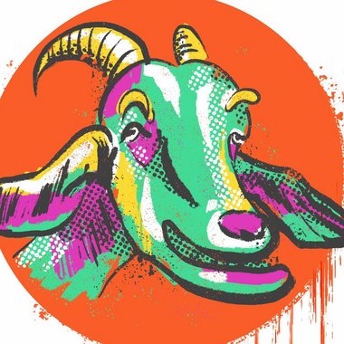 handanu - Freelance Band