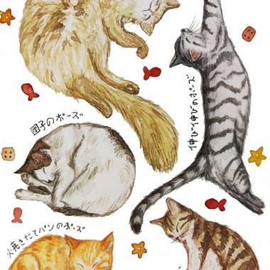 Marina T. - Freelance Logo Designer