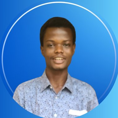 Wisdom D. - Freelance Developer