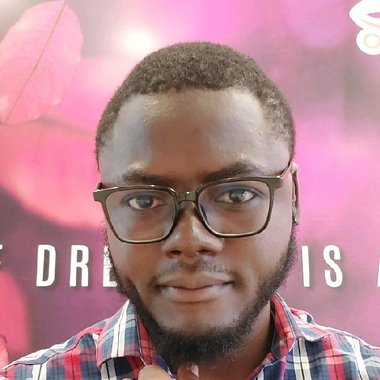 Adebayo B. - Freelance Database Developer