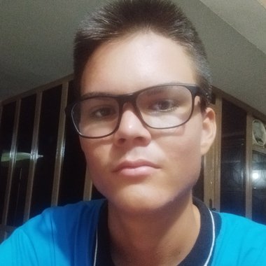 Jesús S. - Freelance Data Collector