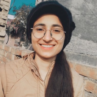 anmolpreet - Freelance Designer