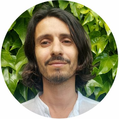 Lucas R. - Freelance Online Trainer