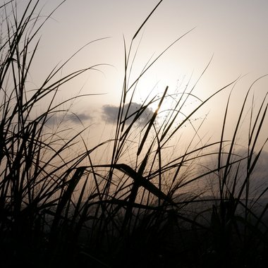 teekjaysee2330 - Freelance Music Composer