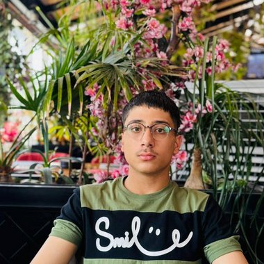 sorosh d. - Freelance Writer