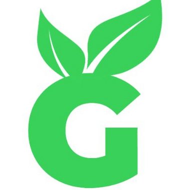 Geo M. - Freelance Digital Marketer