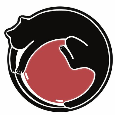 Catherine A. - Freelance Graphic Designer
