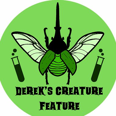 Derek - Freelance Illustrator