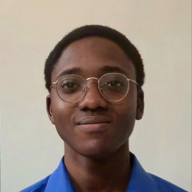 Olalekan A. - Freelance Developer