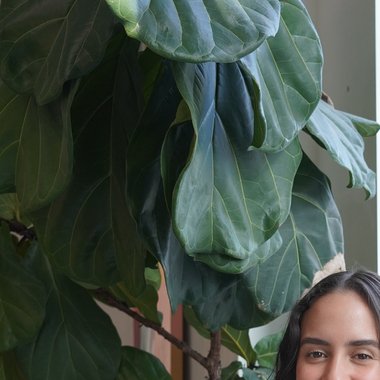 Coralie N. - Freelance Content Creator