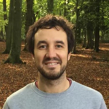 Alex F. - Freelance Web Developer