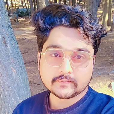Shahbaz A. - Freelance Web Developer