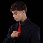 FAUSTO SMERLING JIMÉNEZ ABREU