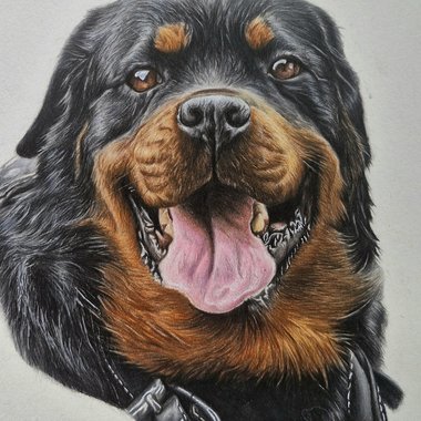 Rocco W. - Freelance Book Illustrator