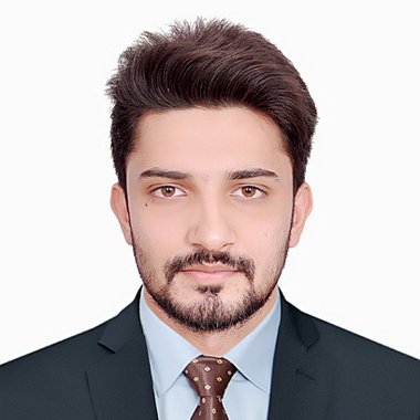 Syed Z. - Freelance Data Collector