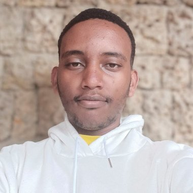 Kaleab G. - Freelance Writer
