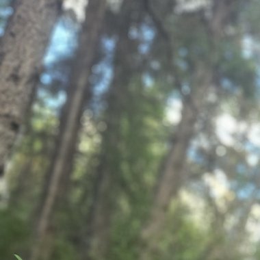 user1608935 - Freelance Content Strategist