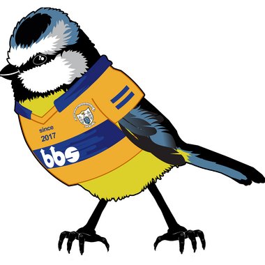 Nestor78 - Freelance Web Designer