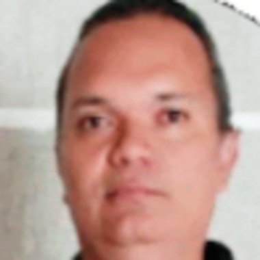 Elio M. - Freelance Data Collector