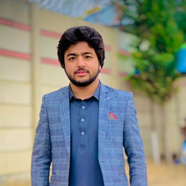 Hassan A. - Freelance Web Developer