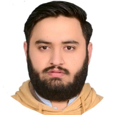 MUHAMMAD T. - Freelance Developer