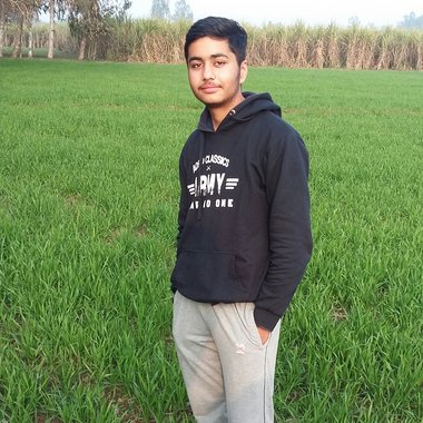 Vartik2785 - Freelance Web Developer