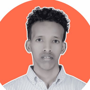 ibraahim m. - Freelance Logo Designer