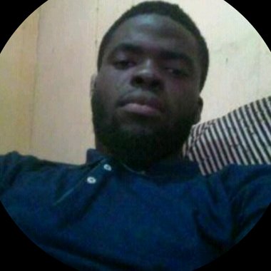Abari B. - Freelance Ai Prompt Engineer