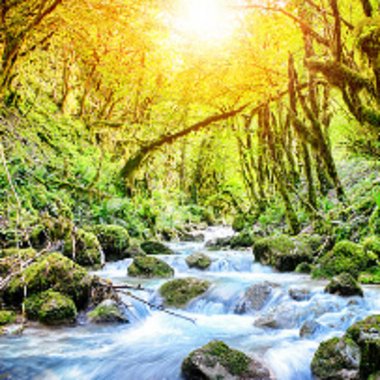 Anastasia A. - Freelance Data Visualizer