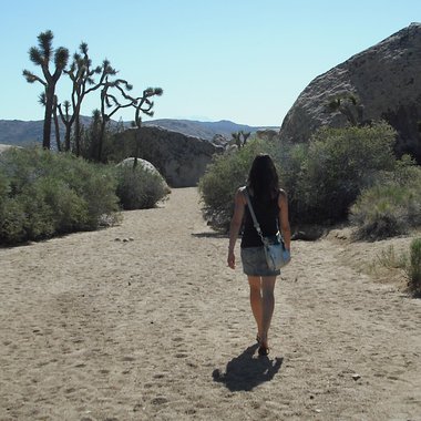 Krista S. - Freelance Instructional Designer