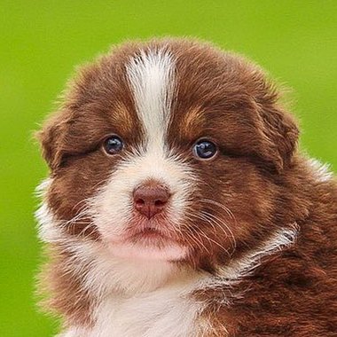 Ken B. - Freelance Developer