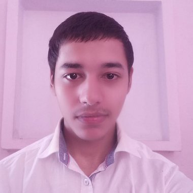 Ankit P. - Freelance Graphic Designer