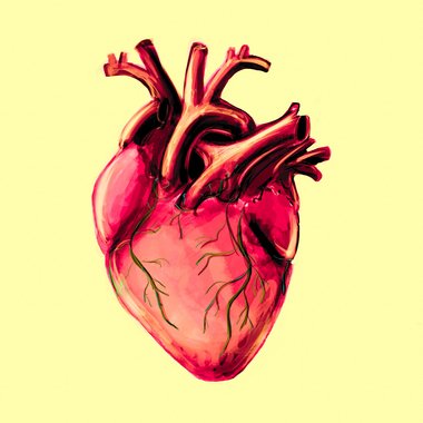 RicardoArt - Freelance 2d Animator