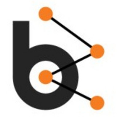 Bluebash L. - Freelance Web Developer