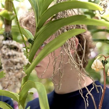 Nathan C. - Freelance Audio Engineer