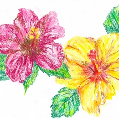 Sunny - Freelance Book Illustrator