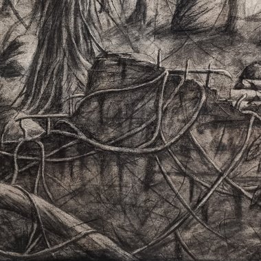 Riley S. - Freelance Brand Designer