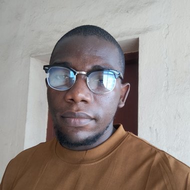 Ogomegbunam P. - Freelance Web Developer