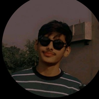 Abdullah S. - Freelance Web Developer