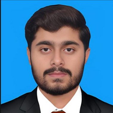 Hussnain N. - Freelance Digital Marketer