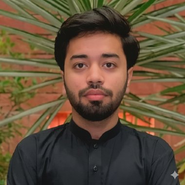 Aleem S. - Freelance Developer