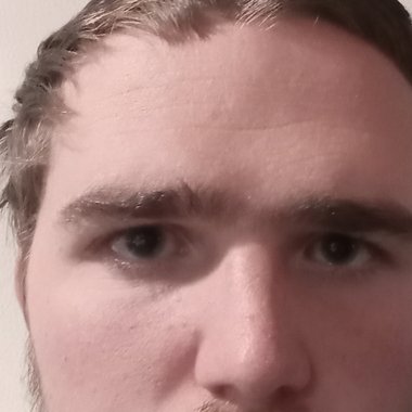 Bailey G. - Freelance Content Creator